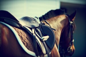 Les équipements nécessaires pour préparer un cheval pour une équitation